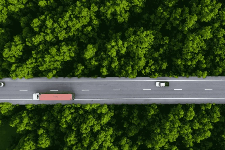 Read more about the article ETS2 – czym jest i jak wpływa na branżę TSL